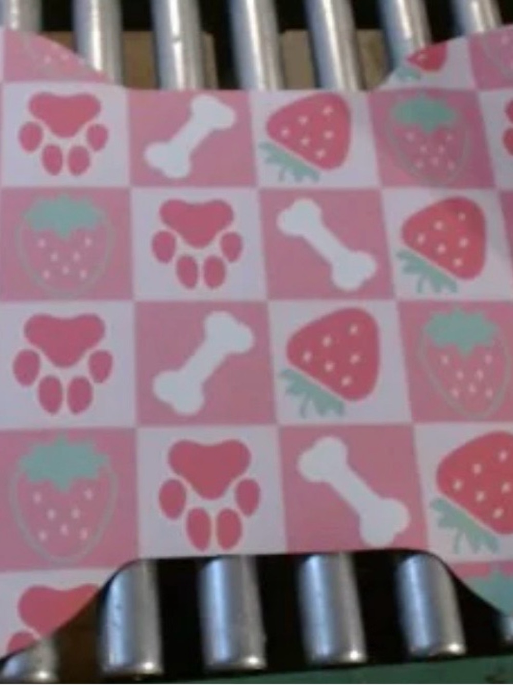 Pet Placemat- Bone Shaped- Pink with Strawberries or Blue with Donuts - Picture 3 of 3